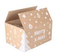 Prachtige Kerst Cadeau Dozen: Een Magische Verpakking voor Jouw Geschenken post thumbnail image